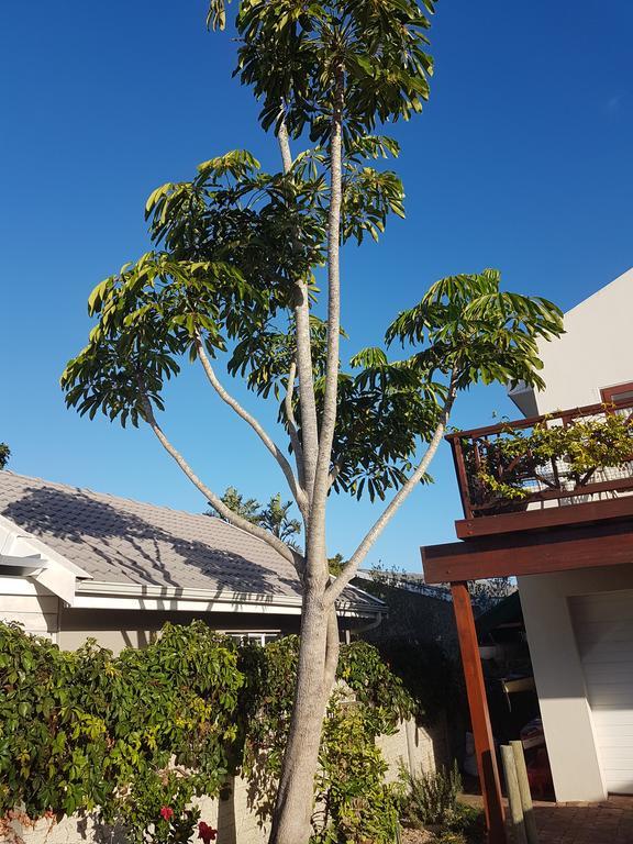 Apartamento Founders Keepers - Leisure Isle Knysna Exterior foto